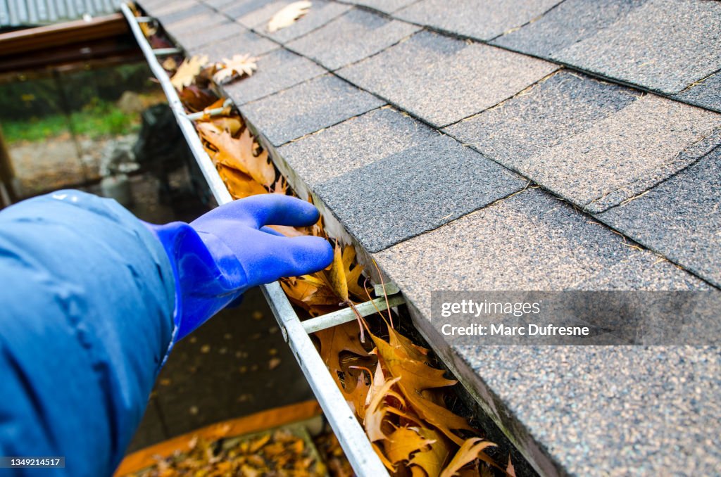 Hand with glove removing autumn leaves from gutter