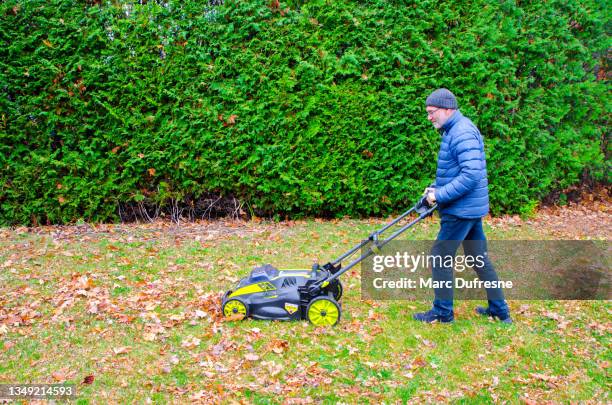man passing lawn mower over autumn leaves on grass - mowing stock pictures, royalty-free photos & images
