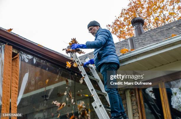 homme en échelle enlevant les feuilles d’automne de la gouttière - cleaning home photos et images de collection