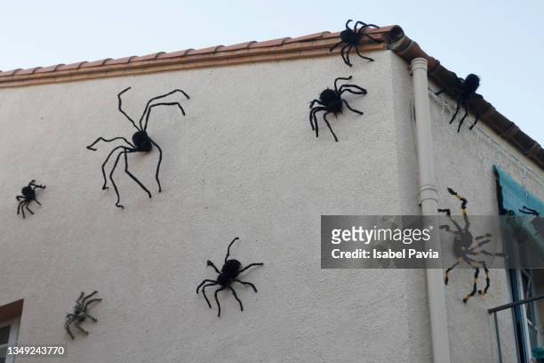 1,504 Cartoon Spider Photos and Premium High Res Pictures - Getty Images