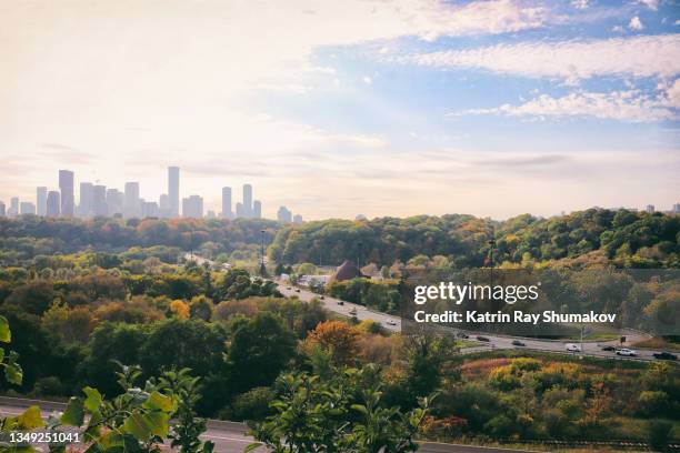 toronto downtown seen from don valley - treetop stock pictures, royalty-free photos & images