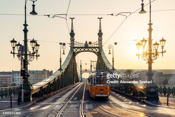 liberty bridge and yellow tram in budapest at sunrise, hungary - kettingbrug hangbrug stockfoto's en -beelden