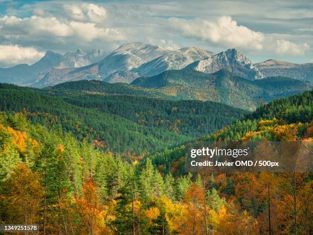 scenic view of mountains against sky during autumn,selva de irati,larrau,france - temperate forest stock-fotos und bilder