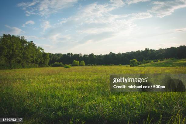 scenic view of field against sky,oakwood,georgia,united states,usa - georgia country stock pictures, royalty-free photos & images