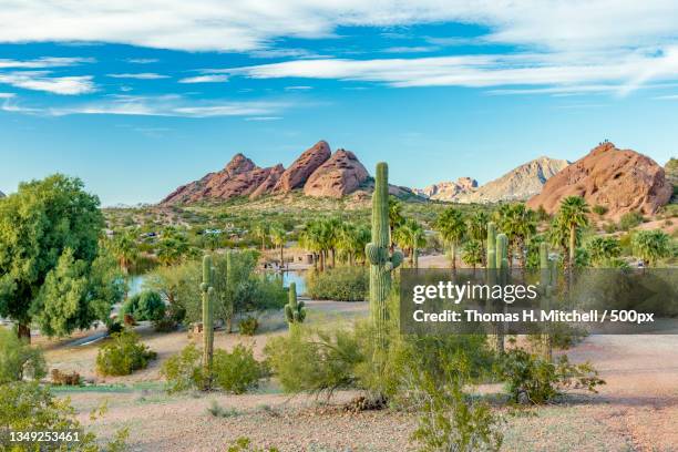 scenic view of landscape against sky,phoenix,arizona,united states,usa - papago park stock pictures, royalty-free photos & images