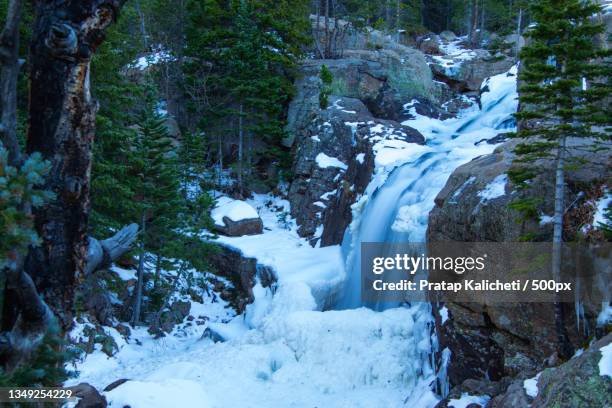 scenic view of waterfall in forest during winter,alberta falls,united states,usa - frozen waterfall stockfoto's en -beelden
