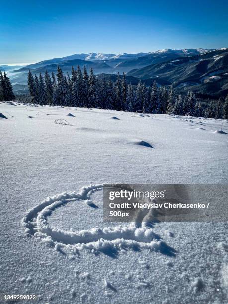 scenic view of snow covered land against sky,polyanytsya,ukraine - ukraine landscape bildbanksfoton och bilder