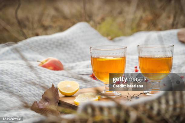 fruit tea with lemon slices. romantic autumn picnic - tea hot drink - fotografias e filmes do acervo