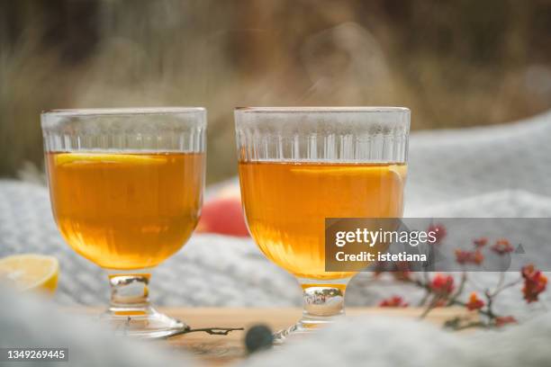 fruit tea with lemon slices. romantic autumn picnic - zitronen feld stock-fotos und bilder