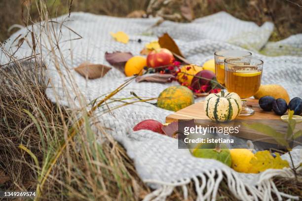 romantic autumn picnic. thanksgiving day celebration with hot drinks - cidra frutas cítricas - fotografias e filmes do acervo