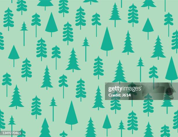 seamless pine trees pattern - patient journey stock illustrations