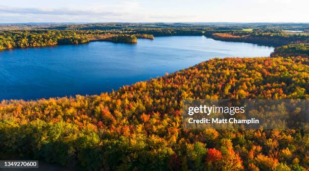 autumn aerial of colorful foliage and lake in countryside - syracuse new york 個照片及圖片檔