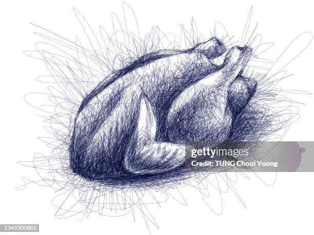 chicken doodle with inking illustration - roasted chicken stock illustrations