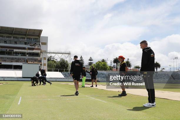 Shaun Marsh of Western Australia inspects the wicket once the covers are removed after rain delays the start during day one of the Sheffield Shield...