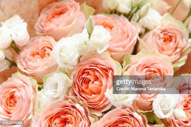 beautiful light rose flowers with eustoma. - lisianthus stock pictures, royalty-free photos & images