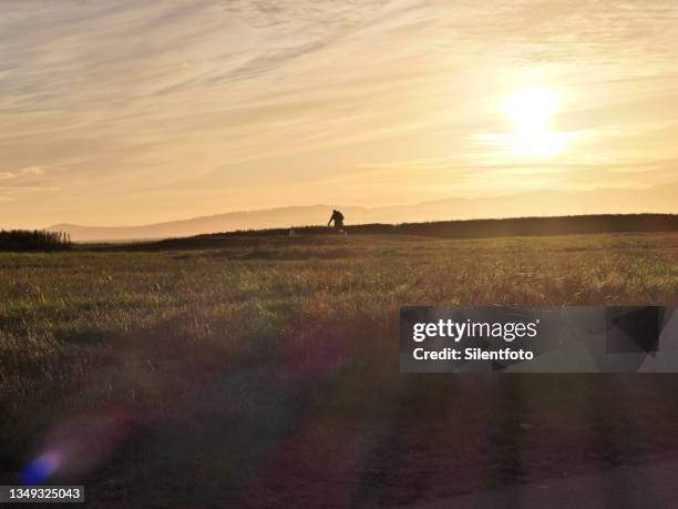 sunset plainsman - afar tribe stockfoto's en -beelden