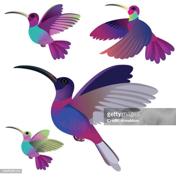 ilustraciones, imágenes clip art, dibujos animados e iconos de stock de colibrí volador - canturrear