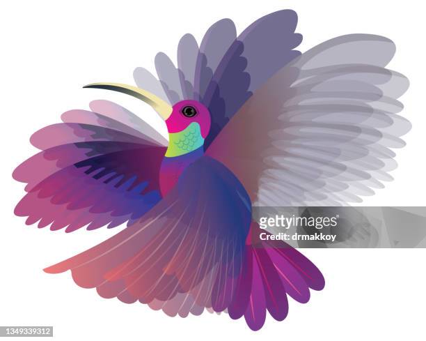 ilustraciones, imágenes clip art, dibujos animados e iconos de stock de colibrí volador - canturrear