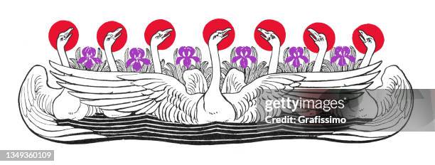 swans with flowers dancing on lake art nouveau illustration 1897 - anser cygnoides stock illustrations