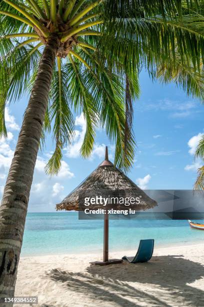 a umbrella and chair on tropical beach - parasol stockfoto's en -beelden