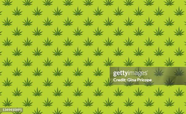 cannabis leaves on green background - marijuana design imagens e fotografias de stock