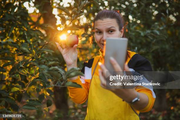 showing organic apples over video call - orchard stock pictures, royalty-free photos & images