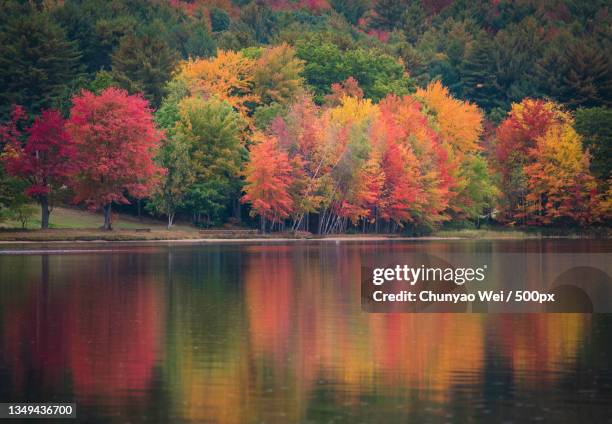 Scenic View Of Lake In Forest During Autumn High-Res Stock Photo