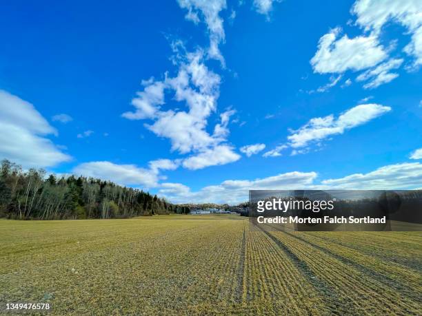 a vast piece of land with lush green trees - østfold stock pictures, royalty-free photos & images