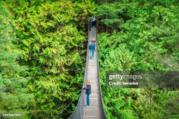 suspension bridge lynn canyon park vancouver canada - vancouver bridge stock pictures, royalty-free photos & images