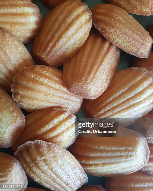 freshly baked madeleines - madeleine sponge cake stock pictures, royalty-free photos & images