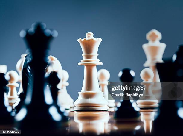 white queen rules the board - chess strategy stock pictures, royalty-free photos & images