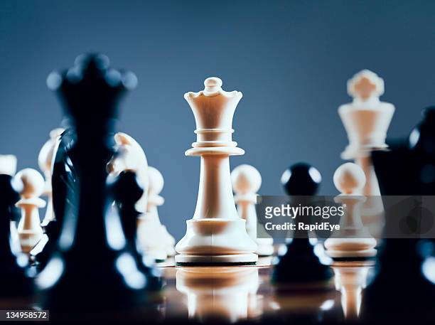 white queen rules the board - chess bildbanksfoton och bilder