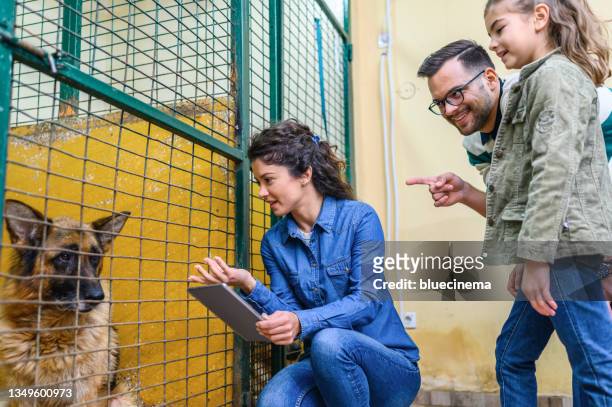 family with worker choosing which dog to adopt from a shelter. - animal volunteer stock pictures, royalty-free photos & images