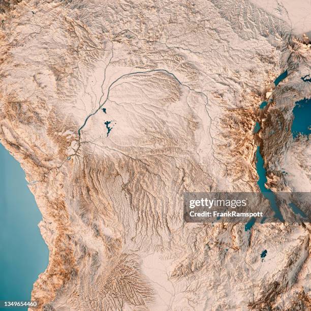 dr congo 3d render topographic map neutral - república democrática do congo imagens e fotografias de stock