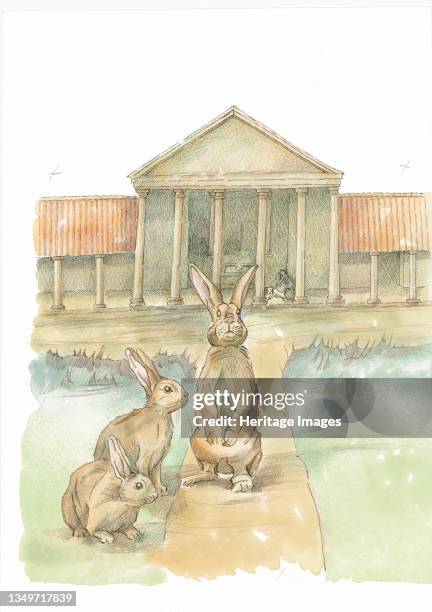 Rabbits in front of Fishbourne Roman Palace, Fishbourne, Chichester, West Sussex, 2019. A reconstruction illustration showing rabbits in front of the...