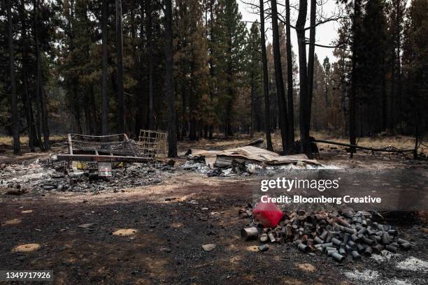 a burnt home in a forest - forest fire oregon stock pictures, royalty-free photos & images