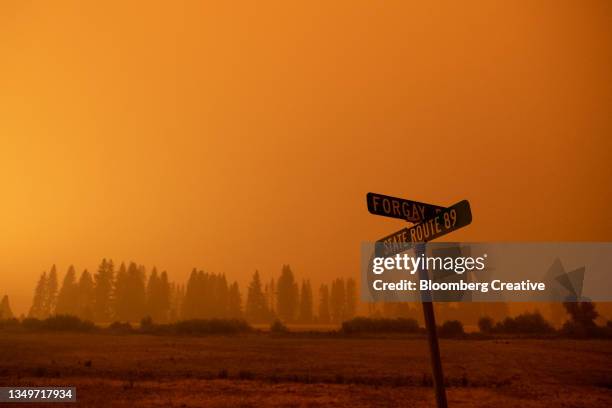 road signs against an orange sky during a wildfire - forest fire close up stock pictures, royalty-free photos & images