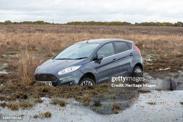 Ford Fiesta accident in New Forest, 2020. Artist Tim Woodcock.