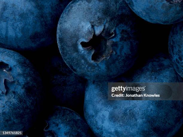 close up blueberries - peau de fruit photos et images de collection