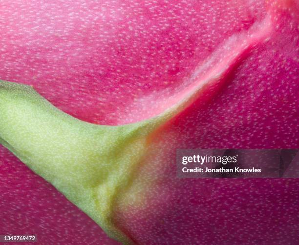 close up dragon fruit skin - pink dragon fruit photos et images de collection