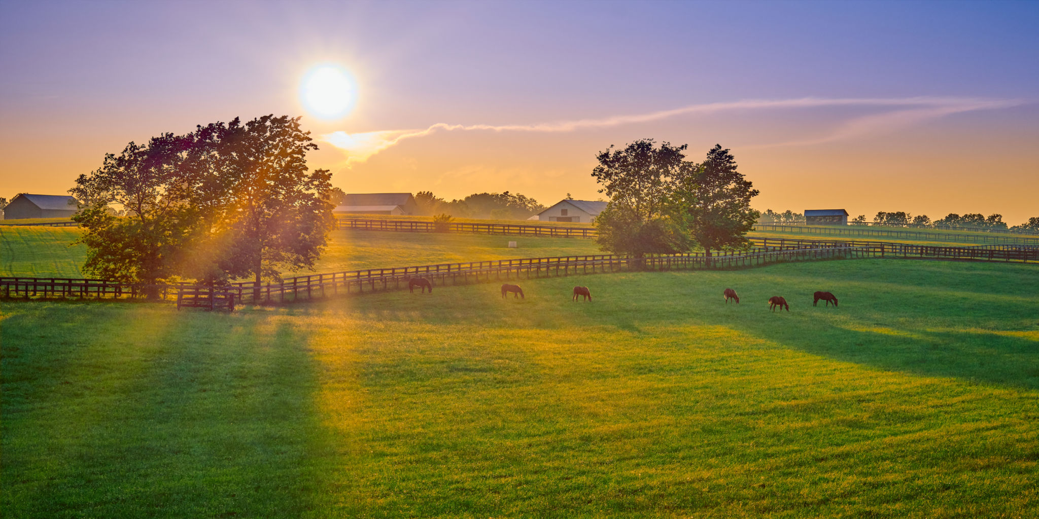 equine facility
