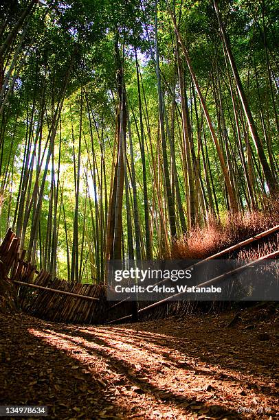 Chikurin In Photos and Premium High Res Pictures - Getty Images