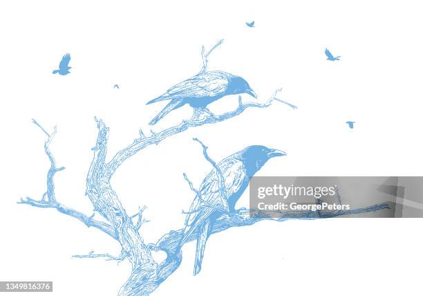 crows perching on a dead tree - dead raven stock illustrations