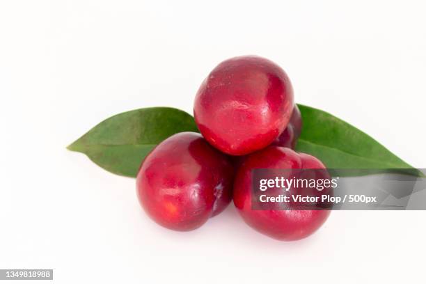 close-up of fruits against white background - cranberries stock pictures, royalty-free photos & images