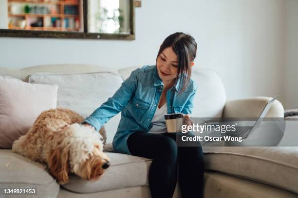 young woman petting her dog while taking a coffee break from work - 若い女性一人 ストックフォトと画像