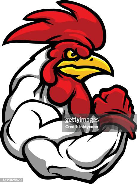 ilustraciones, imágenes clip art, dibujos animados e iconos de stock de gallo de lucha - school gymnasium