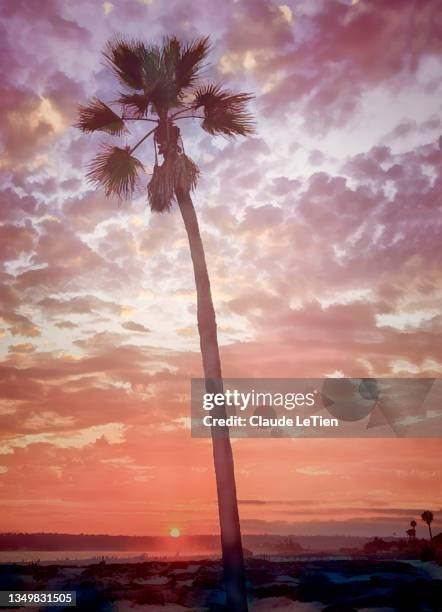coronado beach sunset - coronado island stockfoto's en -beelden