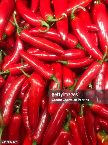 pile of organic glossy red chillis, heap of fresh chili peppers, capsicum crop, hot spicy chile varieties - jalapeno stock-fotos und bilder