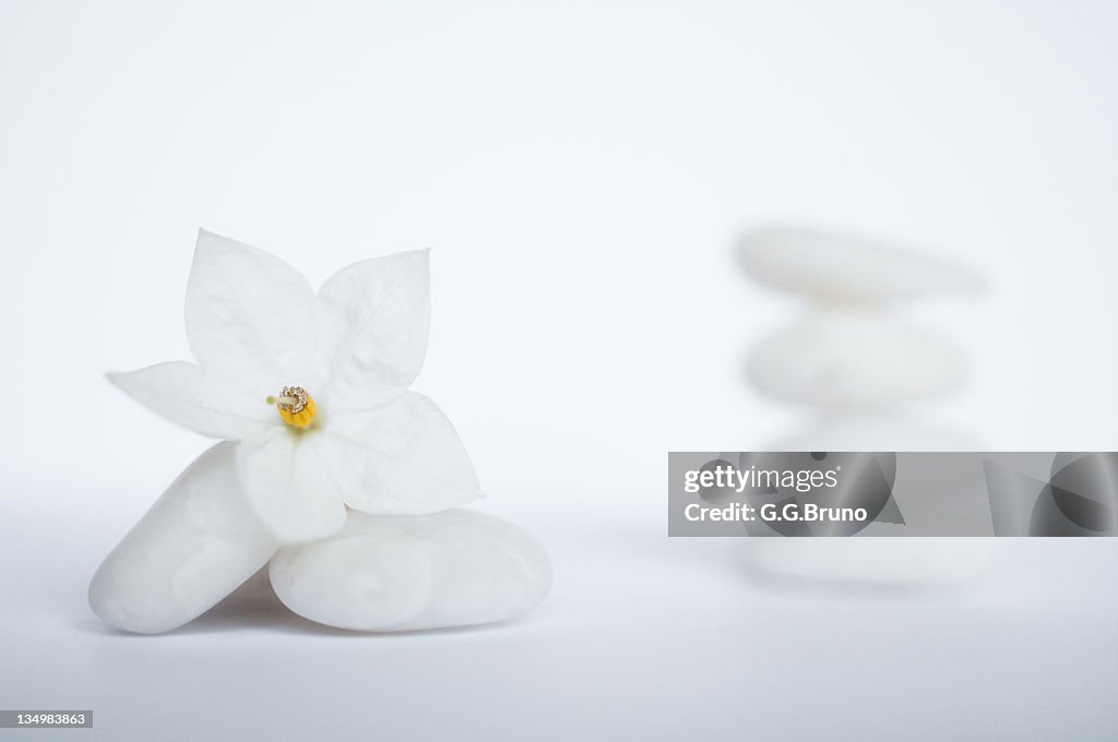 Stack of white pebbles and jasmine flower