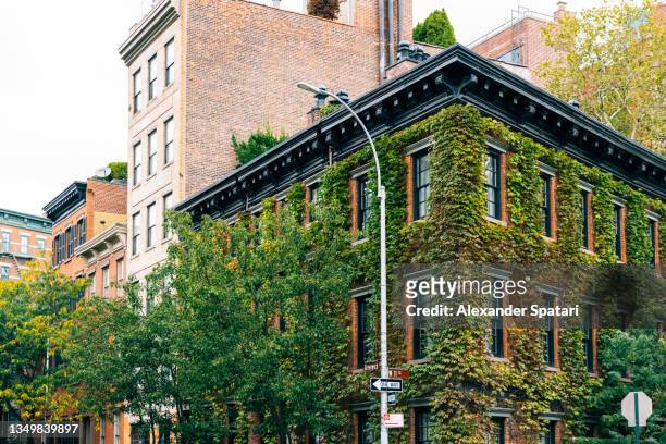 residential buildings overgrown with ivy in new york, usa - west village foto e immagini stock